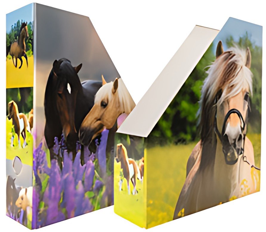 HERMA Porte-revue "Pré à chevaux", A4, carton, (L)85 mm