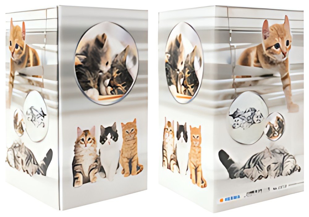 HERMA Pot à crayons "Chats", carton