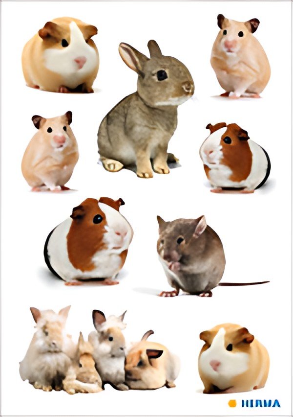 HERMA Sticker MAGIC Famille de rongeurs, papier