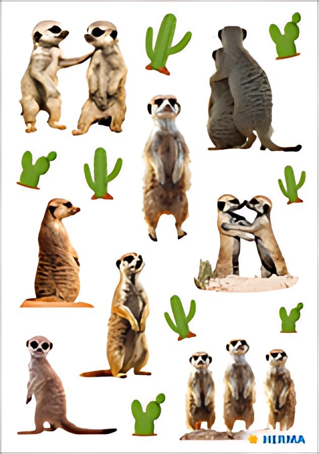 HERMA Sticker MAGIC Suricates, papier