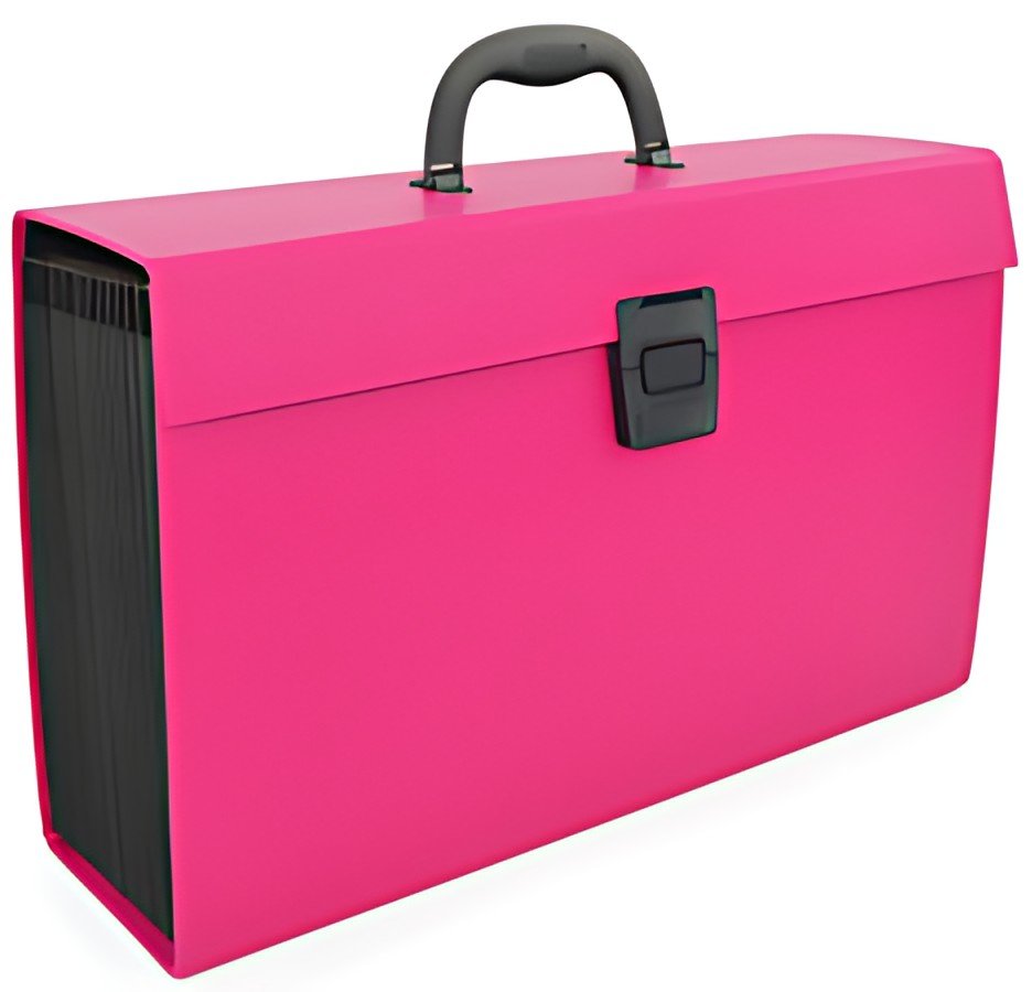 RAPESCO Trieur valisette, A4, 19 compartiments, rose vif