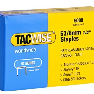 TACWISE Agrafes 53/4 mm, 2000 pièces, galvanisé