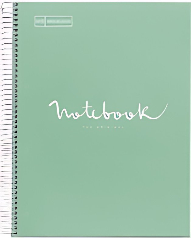 MIQUELRIUS Cahier à spirale "Notebook EMOTIONS", A4, menthe
