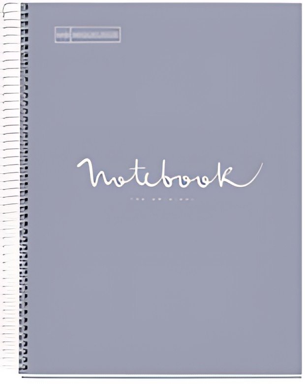 MIQUELRIUS Cahier à spirale "Notebook EMOTIONS", A4, gris