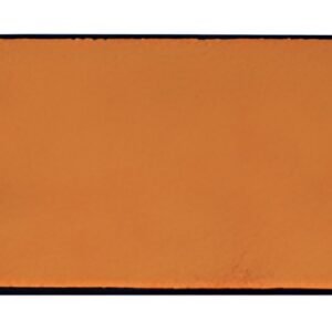miltex Tapis anti-salissure EAZYCARE COLOR, 400 x 600 mm,
