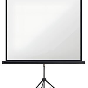 magnetoplan Écran sur pied, (L)1.800 x (H)1.800 mm, 1:1