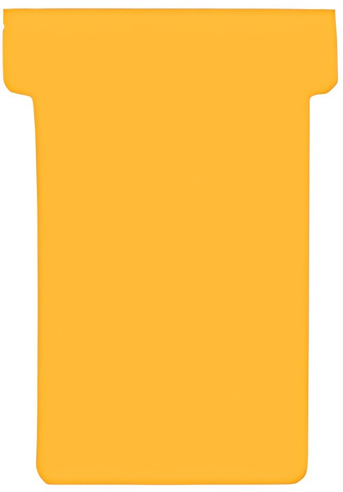 FRANKEN Fiches T, taille 2 / 48 x 84 mm, orange