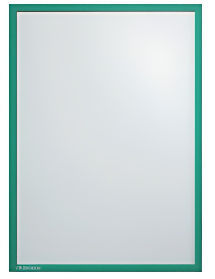 FRANKEN Pochette magnétique Frame It Eco, A3, vert