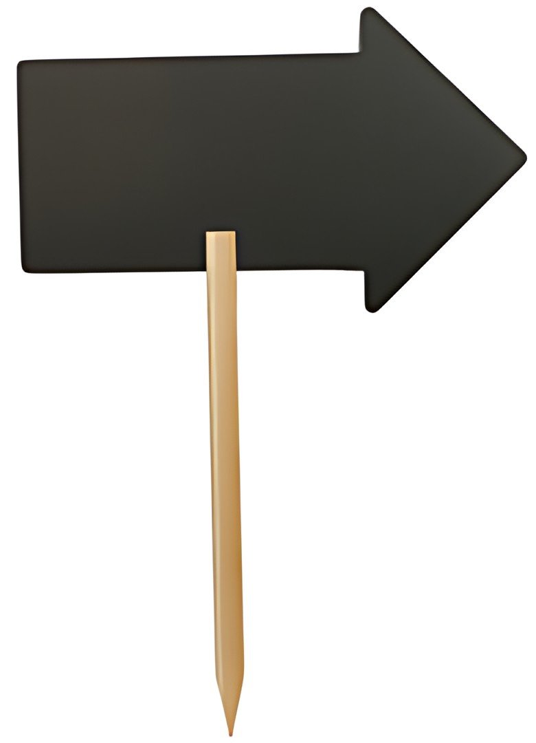Securit Panneau indicateur SILHOUETTE "ARROW"