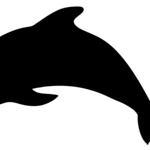 Securit Ardoise murale SILHOUETTE "Dauphin"