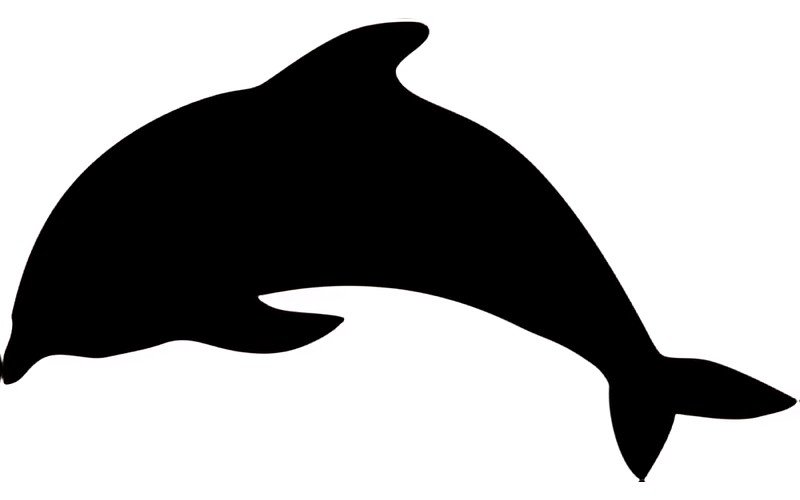 Securit Ardoise murale SILHOUETTE "Dauphin"