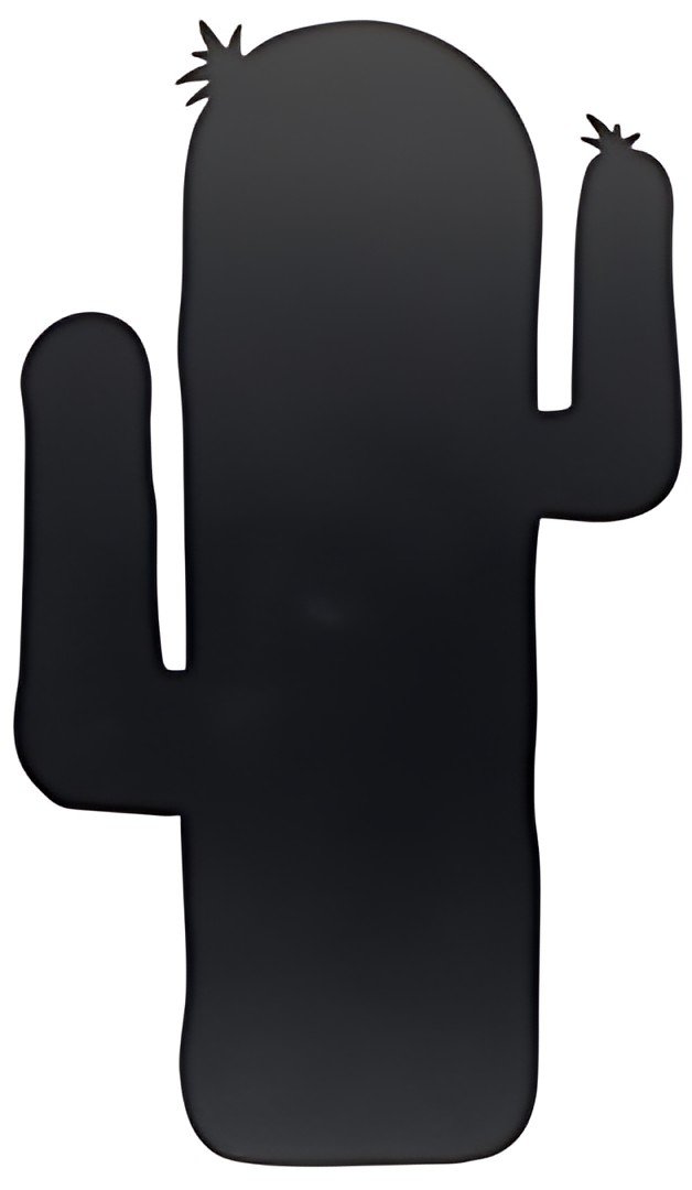 Securit Ardoise SILHOUETTE "CACTUS", noir