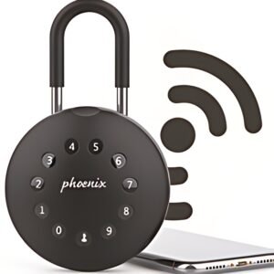 phoenix Boîte à clés PALM KS0213ES avec anse de cadenas,noir