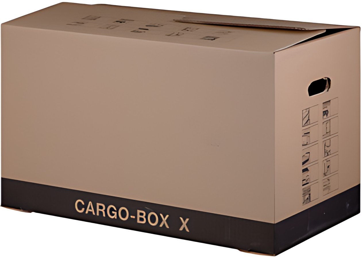 smartboxpro Carton de déménagement "CARGO-BOX-PLUS S",marron