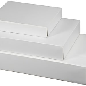 smartboxpro Caisse carton télescopique E-Commerce, grand,