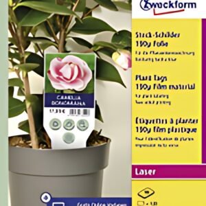 AVERY Zweckform Etiquette à planter, film, 100 x 20 mm