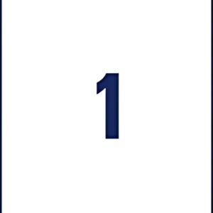 AVERY Zweckform Étiquette d'expédition, 210 x 297 mm, blanc