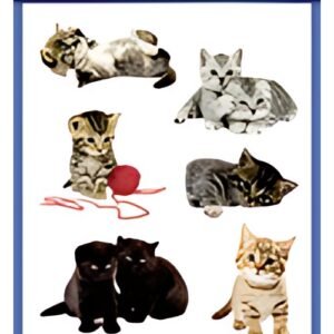 ZDesign KIDS Sticker "chatons", coloré