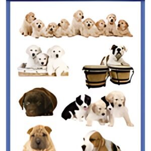 ZDesign KIDS Sticker "chiots", coloré