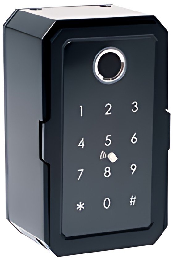 pavo Mini-coffre à clé Advanced, pour 1 clé, noir