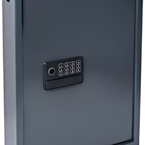 pavo Coffre à clés Smart-WiFi, pour 50 clés, gris