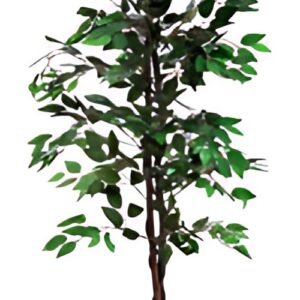 PAPERFLOW Plante artificielle "Ficus", hauteur : 1.200 mm