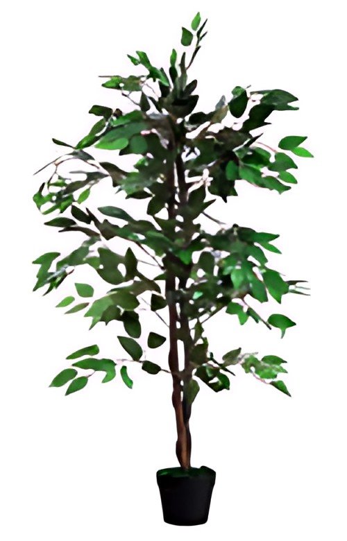 PAPERFLOW Plante artificielle "Ficus", hauteur : 1.200 mm