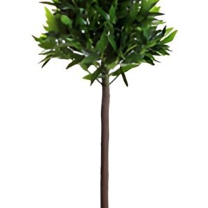 PAPERFLOW Plante artificielle "Olivier", hauteur : 1.250 mm