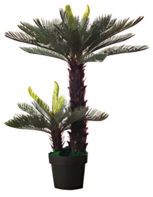 PAPERFLOW Plante artificielle "Cycas", hauteur : 800 mm