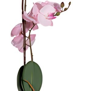 PAPERFLOW Plante artificielle "orchidée", (H)500 mm, rose