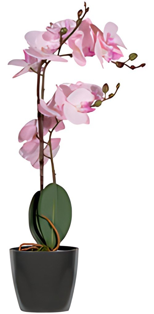 PAPERFLOW Plante artificielle "orchidée", (H)500 mm, rose