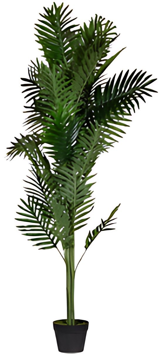 PAPERFLOW Plante artificielle "palmier", hauteur: 1.600 m