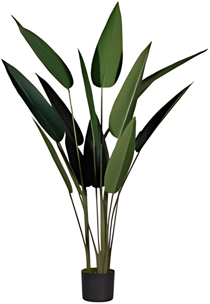 PAPERFLOW Plante artificielle "oiseau de paradis", (H)1,15 m