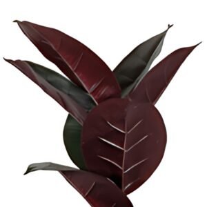 PAPERFLOW Plante artificielle "caoutchouc", hauteur: 360 mm