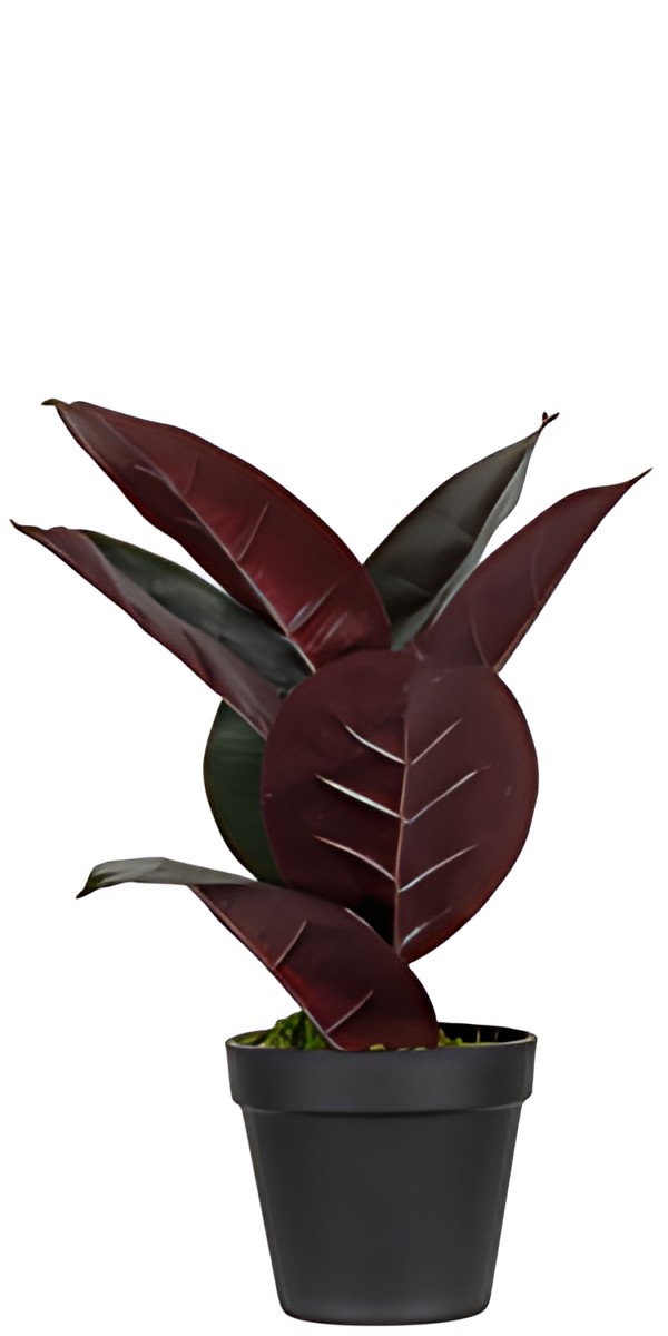 PAPERFLOW Plante artificielle "caoutchouc", hauteur: 360 mm
