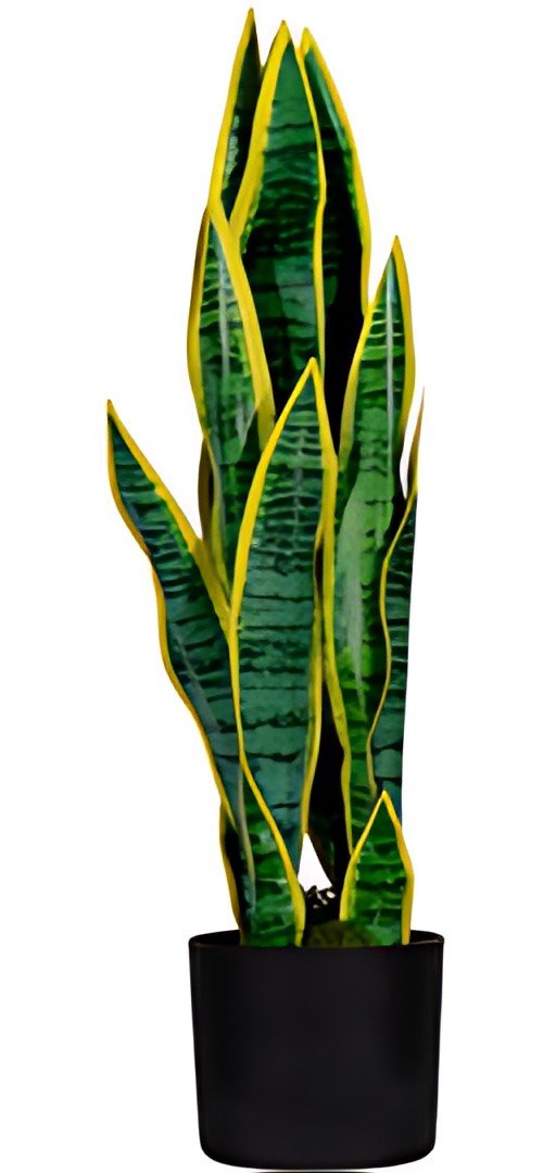 PAPERFLOW Plante artificielle "sanseviera", hauteur: 650 mm