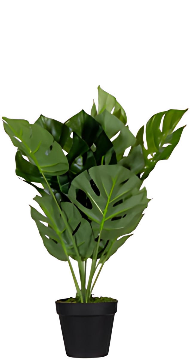 PAPERFLOW Plante artificielle "monstera", hauteur: 450 mm
