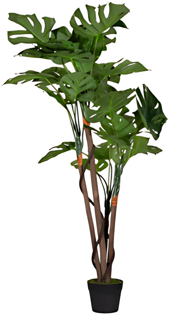 PAPERFLOW Plante artificielle "monstera", hauteur: 1.300 mm