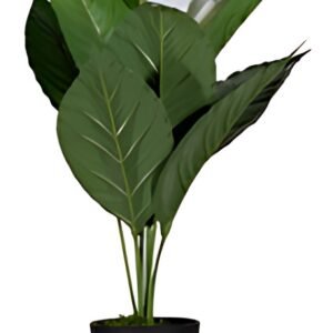 PAPERFLOW Plante artificielle "fleur de lune", (H)550 mm