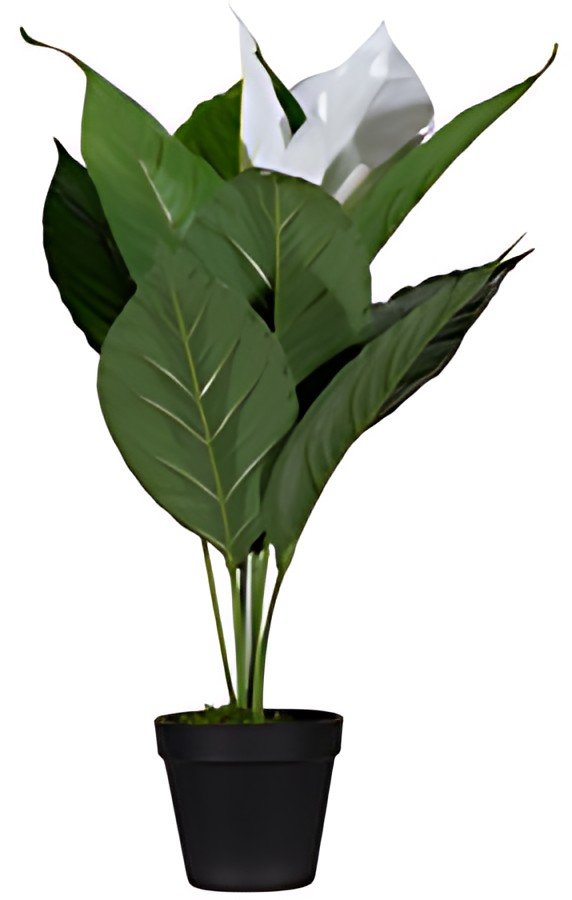 PAPERFLOW Plante artificielle "fleur de lune", (H)550 mm