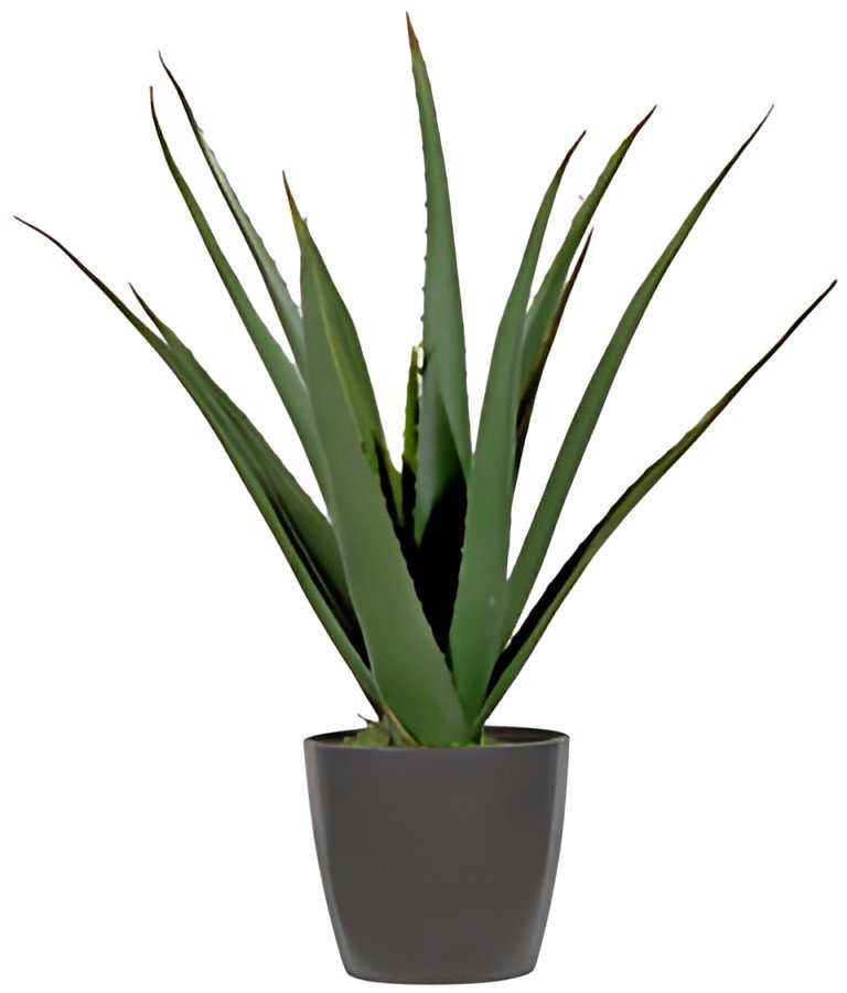 PAPERFLOW Plante artificielle "aloe vera", hauteur: 450 mm
