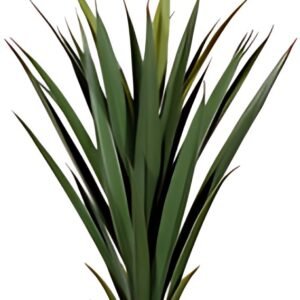 PAPERFLOW Plante artificielle "yucca", hauteur: 600 mm