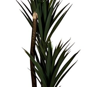 PAPERFLOW Plante artificielle "yucca", hauteur: 1.500 mm