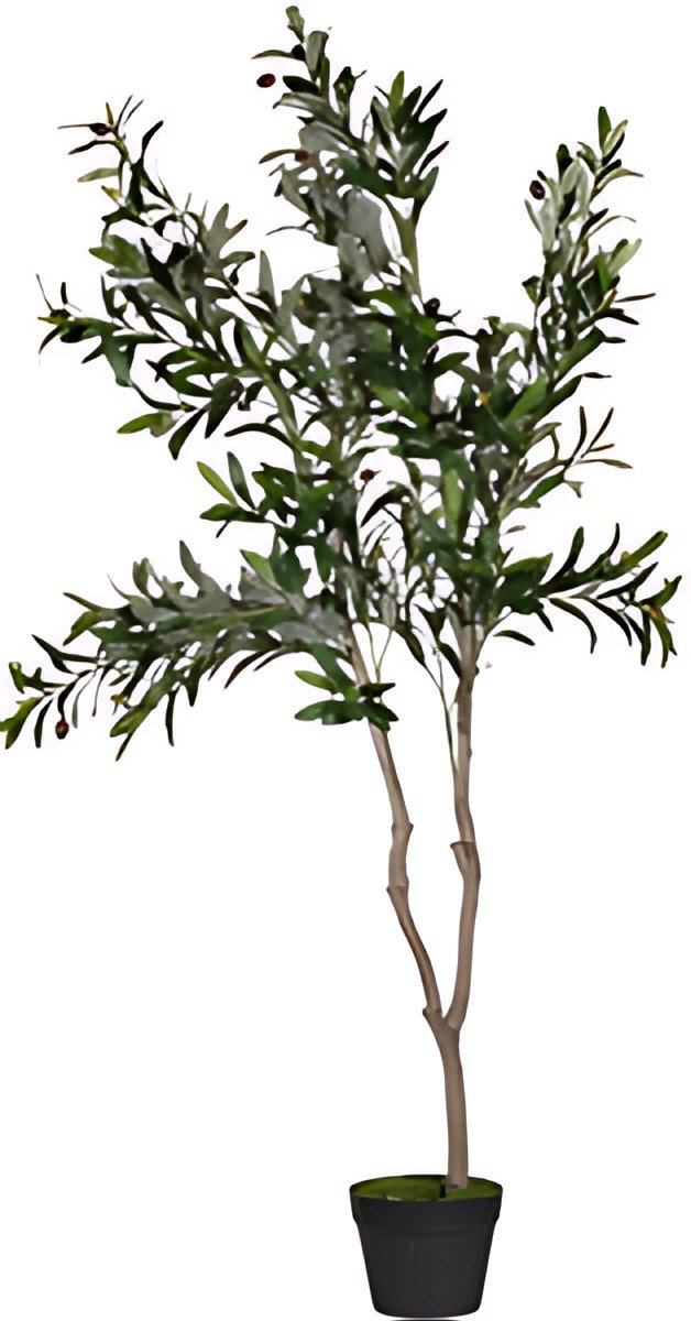 PAPERFLOW Plante artificielle "olivier", hauteur: 1.550 mm