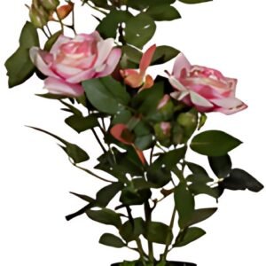 PAPERFLOW Plante artificielle "rosier", (H)540 mm, rose