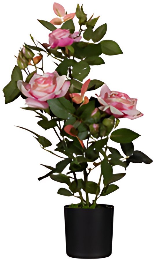 PAPERFLOW Plante artificielle "rosier", (H)540 mm, rose