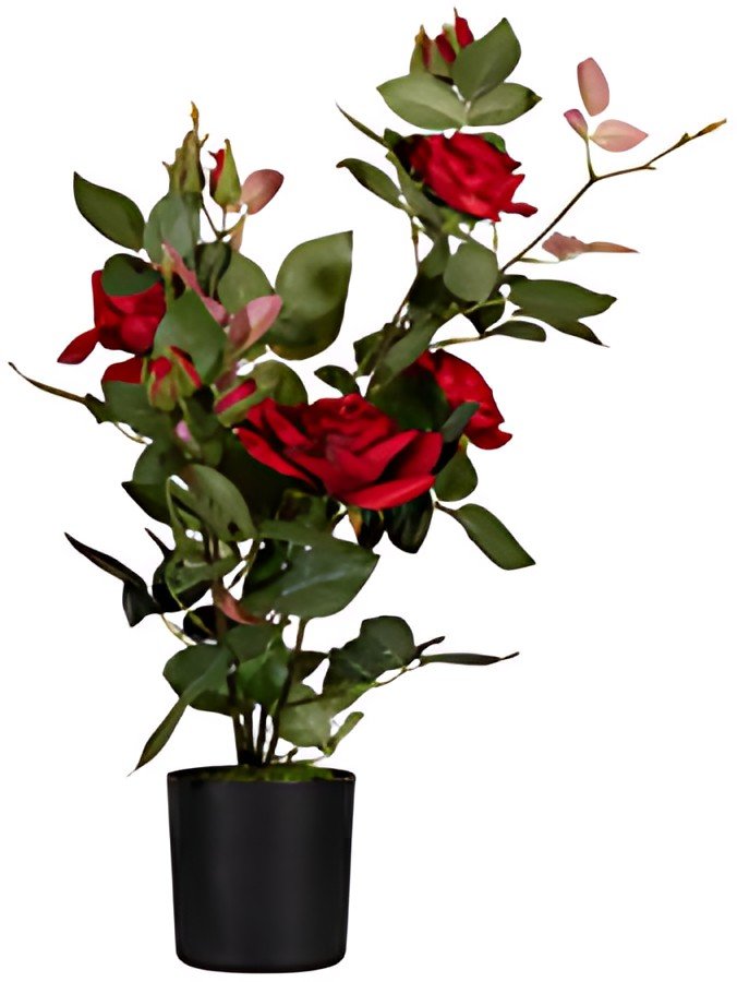 PAPERFLOW Plante artificielle "rosier", (H)540 mm, rouge
