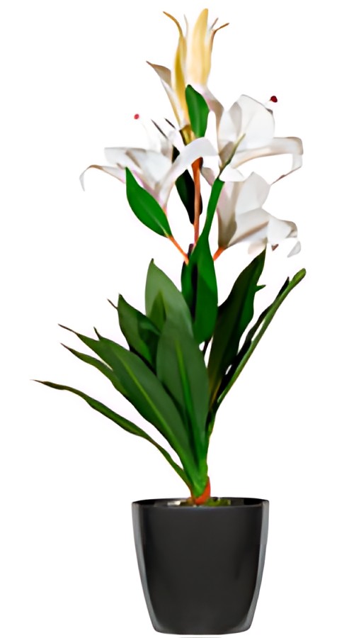 PAPERFLOW Plante artificielle "fleurs de lys", (H)650 mm