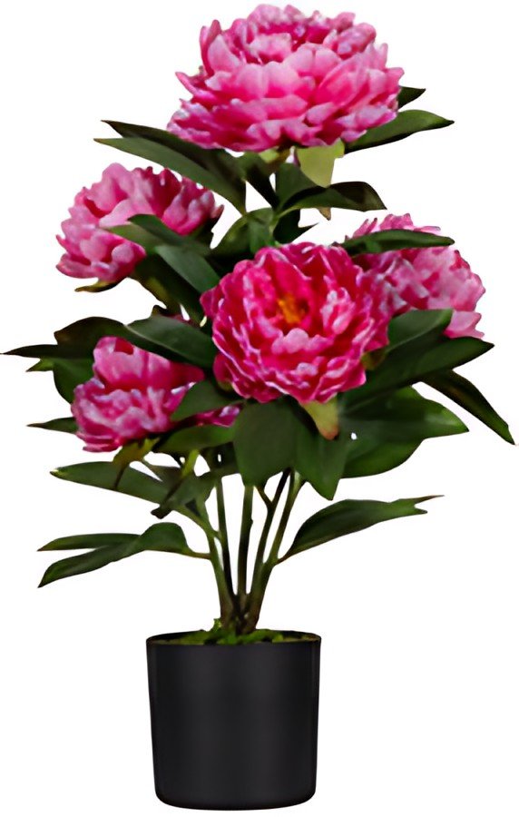 PAPERFLOW Plante artificielle "pivoine", (H)550 mm, rose