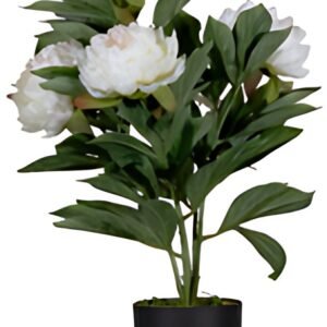 PAPERFLOW Plante artificielle "pivoine", (H)550 mm, blanc
